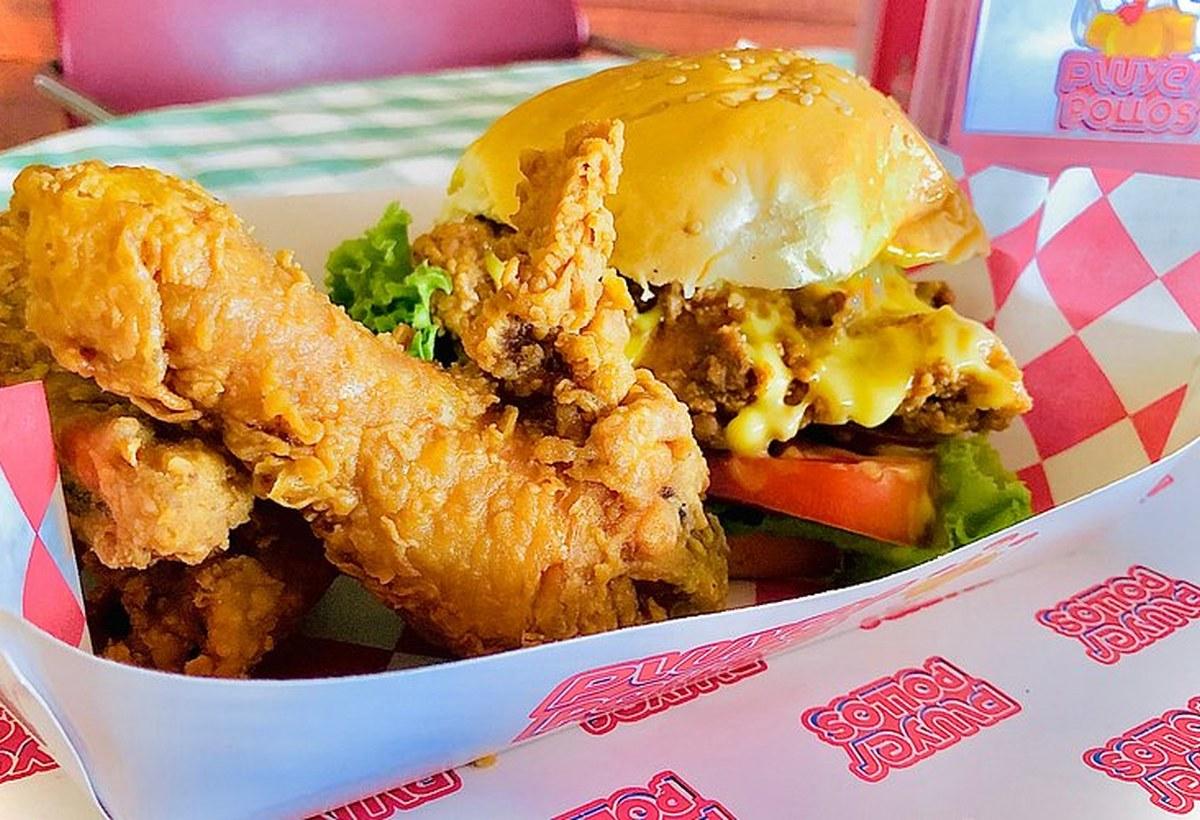Ficha de Pluyer Pollos